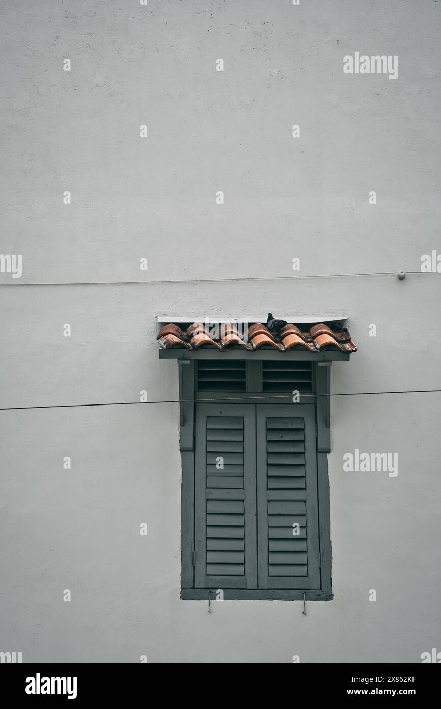 Außenansicht des Holzfensters mit Lamellen an der Wandfassade, ein Taubenvogel auf gekacheltem Markise. Stockfoto