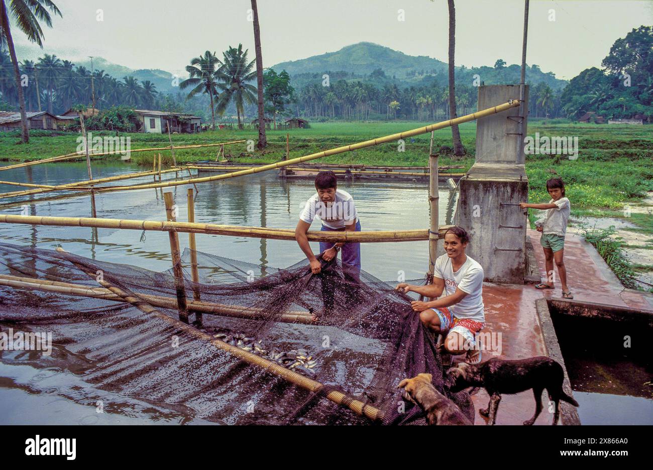Philippinen, Mindanao. Fischer arbeiten in einer Fischfarm. Stockfoto