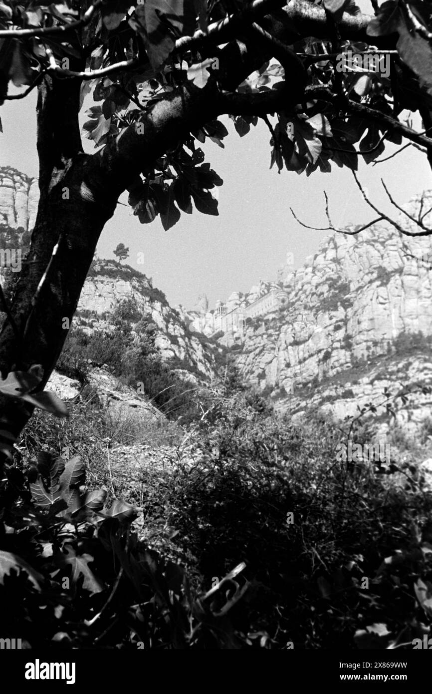 Blick aus dem Tal die Felswände des Montserrat hoch bis zur Abtei von Montserrat, Katalonien 1957. Blick vom Tal auf die Felswände von Montserrat bis zur Abtei von Montserrat, Katalonien 1957. Stockfoto