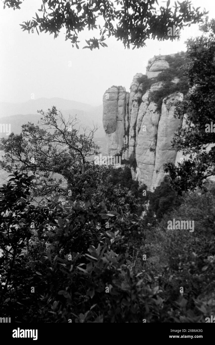 Blick durch Bäume und Gebüsch auf Felsen des Montserrat, Katalonien 1957. Blick durch Bäume und Büsche zu den Felsen von Montserrat, Katalonien 1957. Stockfoto