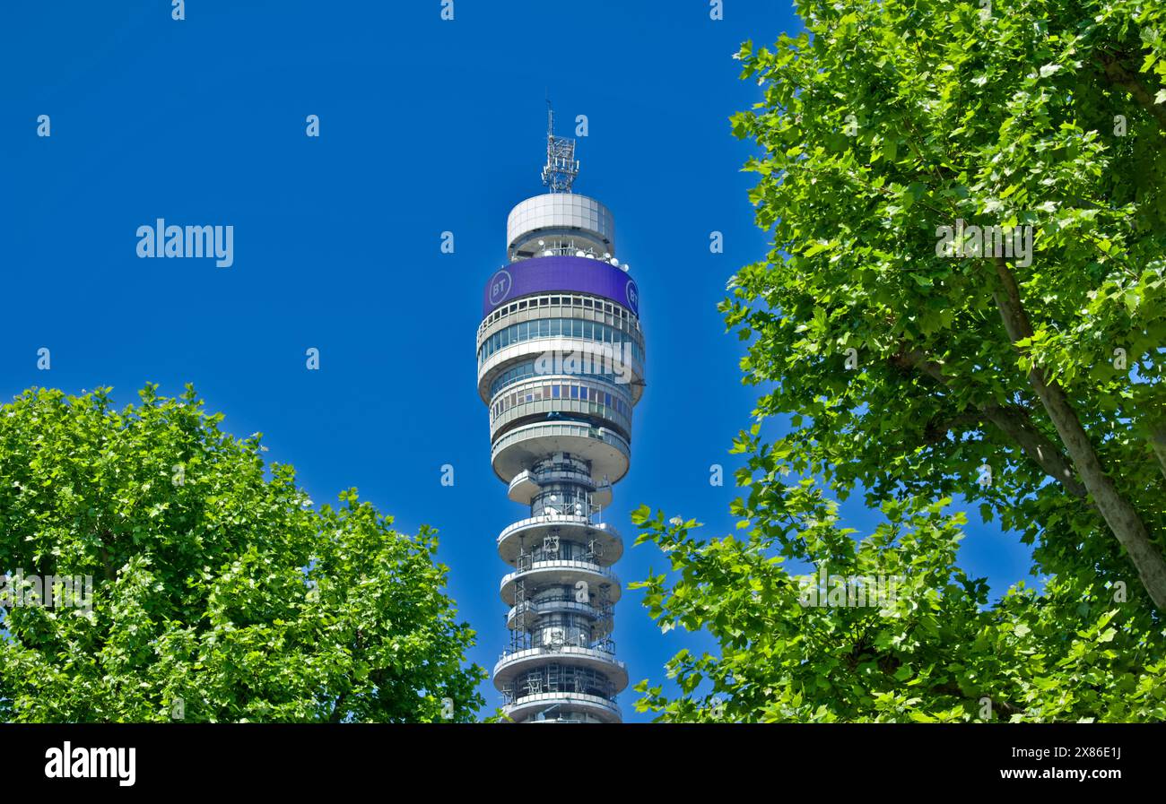 BT Tower oder Post Office Tower ein klassifizierter Kommunikationsturm in Fitzrovia, London und Trees in Springtime Stockfoto