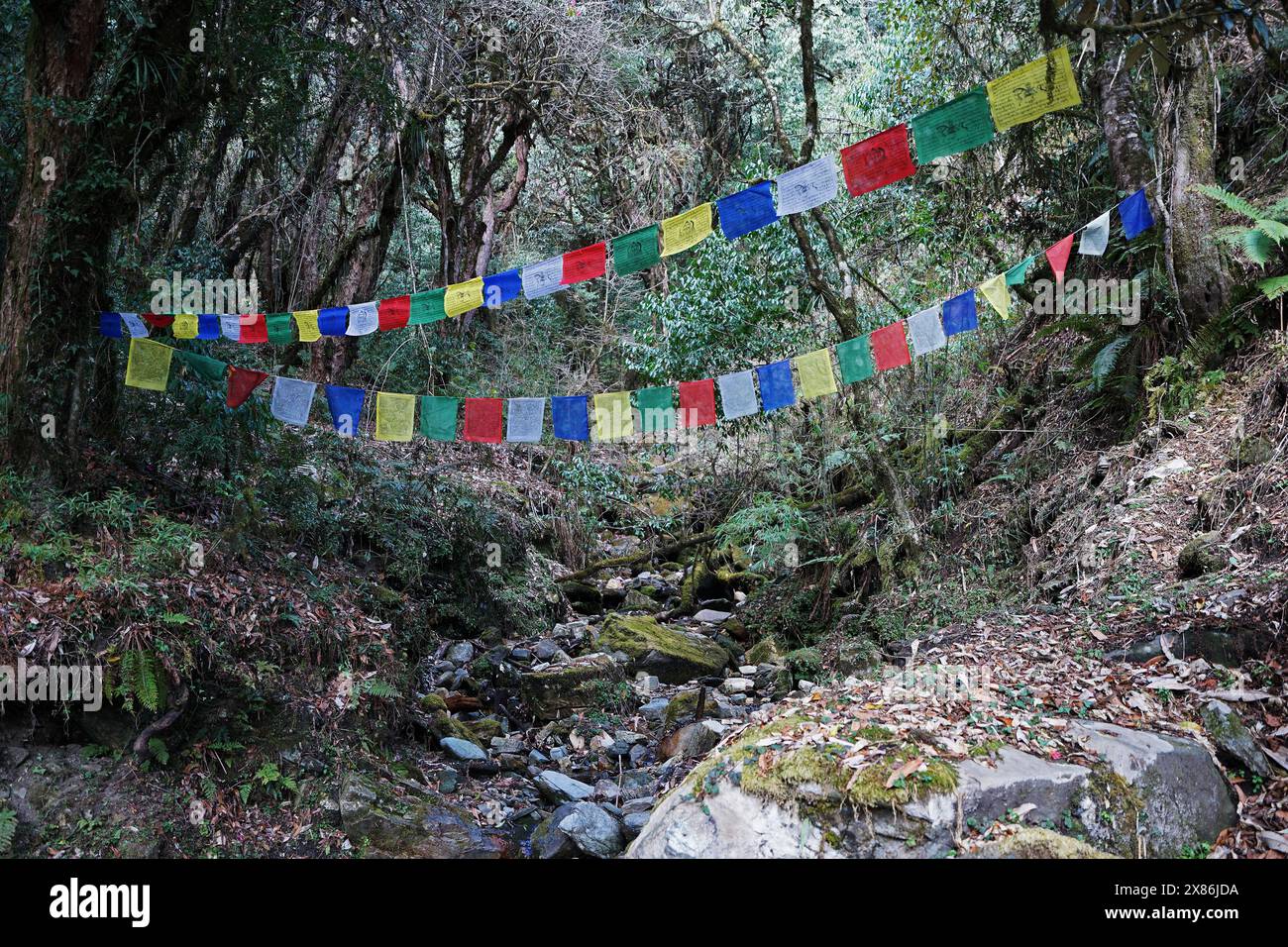 Bunte Gebetsfahnen inmitten der natürlichen Landschaft des grünen Bergparks entlang des Wanderweges zum Annapurna Himalaya-Gebirge Stockfoto
