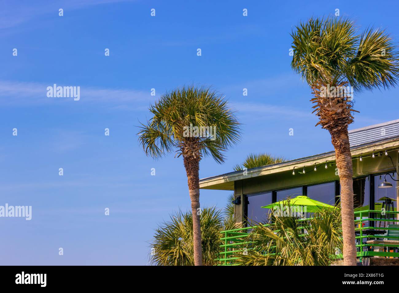 Palmen, grünes Eisengeländer mit grünem Schirm auf dem oberen Deck eines Gebäudes im Shem Creek Park, Mount Pleasant, South Carolina, USA. Stockfoto