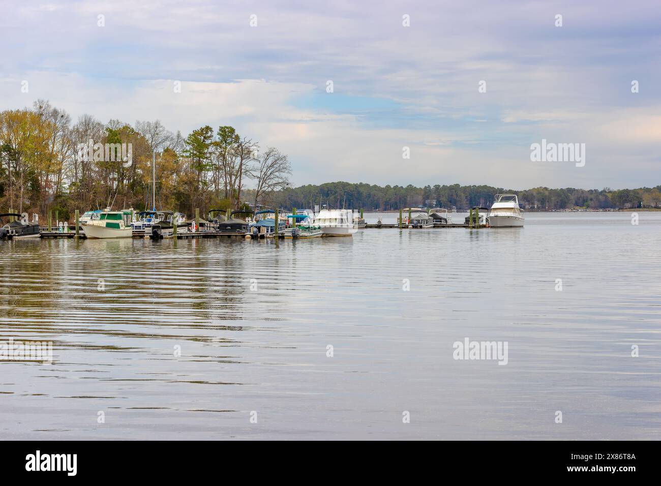 Der Dreher Island State Park ist ein Freizeitpark auf der größten Insel am Lake Murrray. Stockfoto