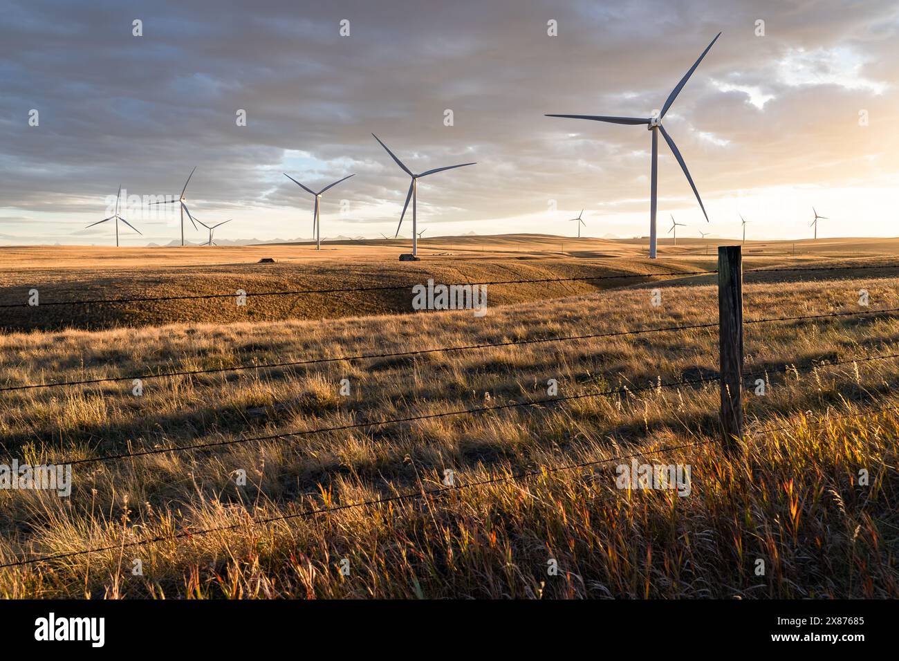 Windturbinen, die sauberen Strom erzeugen, überblicken Prärieflächen und Stacheldrahtzaun im Pincher Creek Alberta Canada. Stockfoto