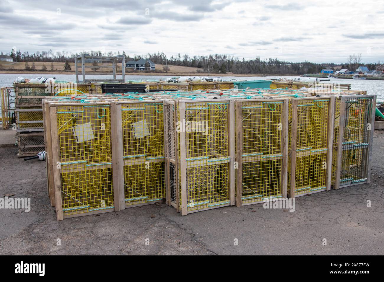 Hummer-Fallen auf dem Dock in North Rustico, Prince Edward Island, Kanada Stockfoto