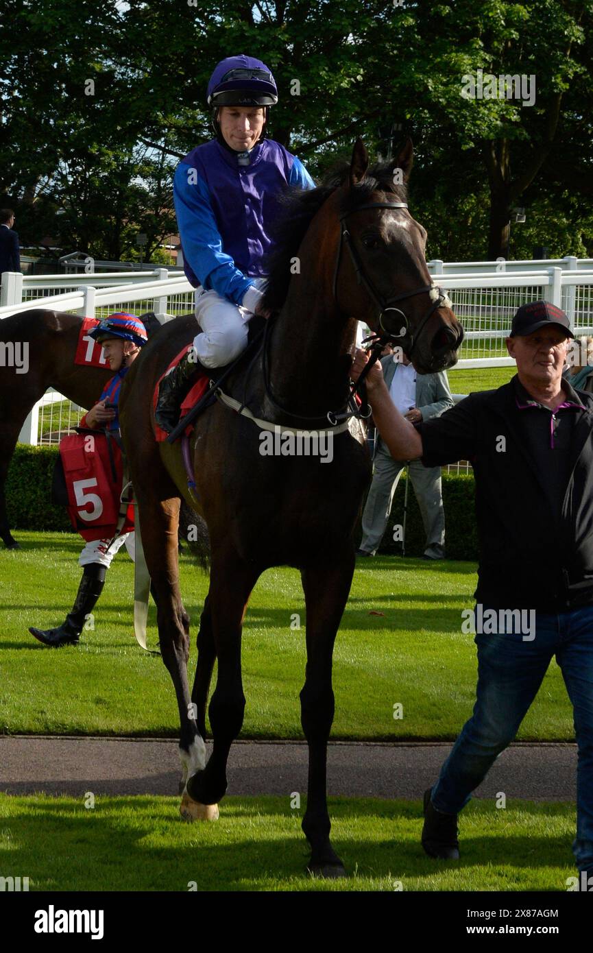 Sandown, Großbritannien. Mai 2024. Luke Morris begrüßt die Zuschauer nach dem Gewinn des World Horse Welfare Handicap Stakes 6,07 auf der Sandown Racecourse, Großbritannien. Quelle: Paul Blake/Alamy Live News. Stockfoto