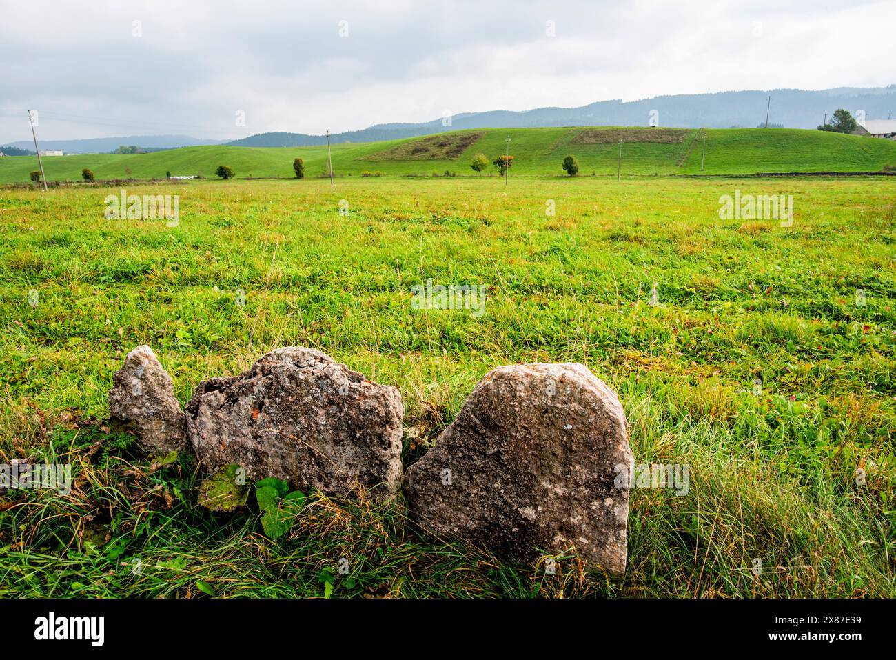 Panorama der grünen Weidewiesen auf dem Hochplateau Asiago in der Provinz Vicenza in Veneto Italien Stockfoto