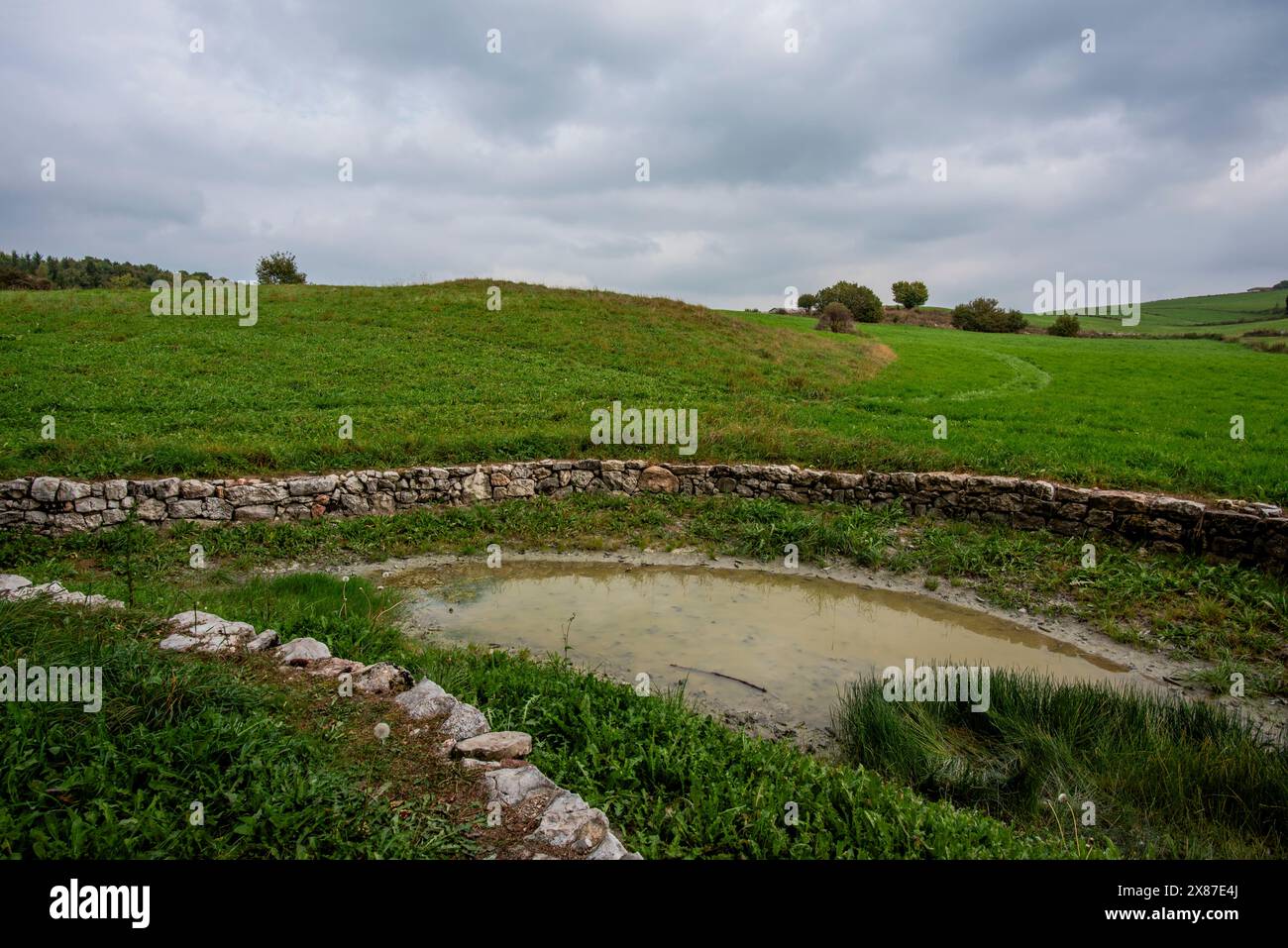 Panorama der grünen Weidewiesen auf dem Hochplateau Asiago in der Provinz Vicenza in Veneto Italien Stockfoto