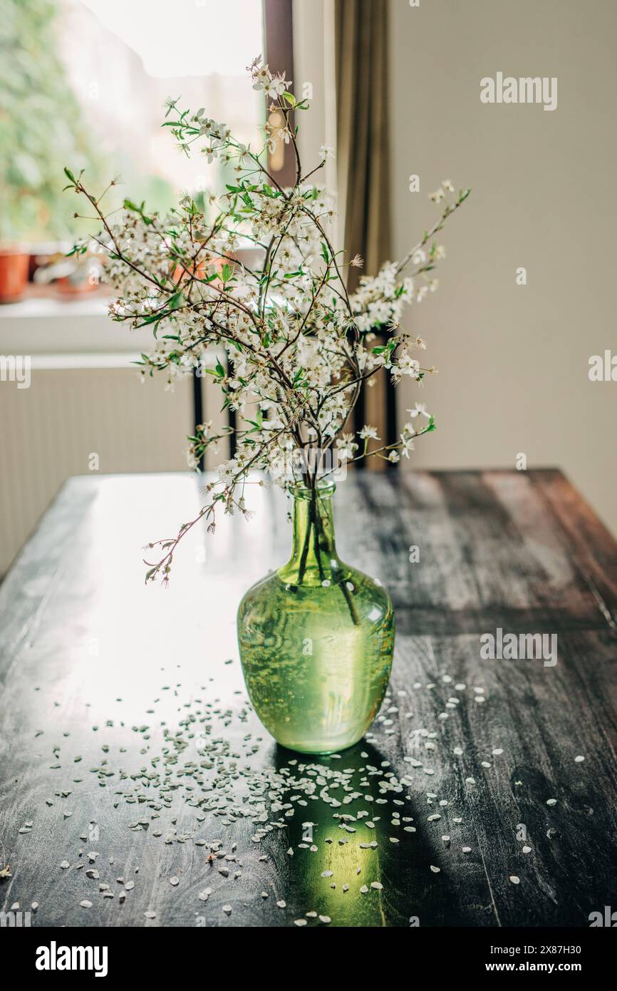 Grüne Vase mit Kirschblütenzweig auf Holztisch Stockfoto