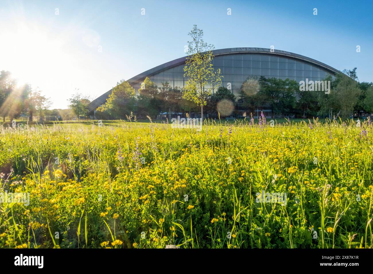 Grüne Pflanzen nahe der modernen Struktur in der Stadt an sonnigen Tagen Stockfoto