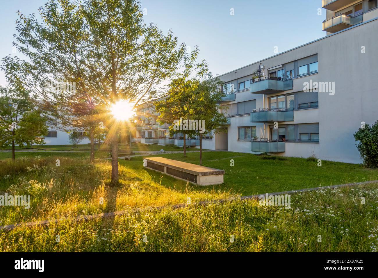 Modernes Wohngebäude mit Balkonen in der Nähe von grünen Bäumen und Pflanzen in München Stockfoto