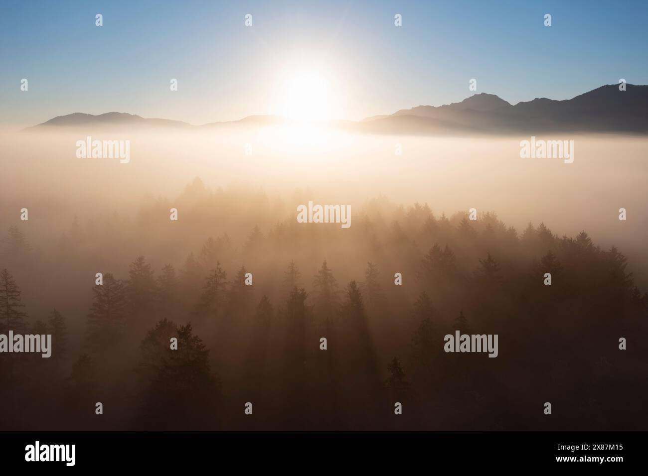 Deutschland, Bayern, Bad Bayersoien, aus der Vogelperspektive auf den Sonnenaufgang über nebeligem Wald Stockfoto