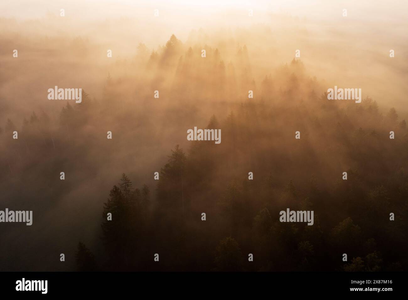 Deutschland, Bayern, Bad Bayersoien, Luftaufnahme des Nebelwaldes bei Sonnenaufgang Stockfoto