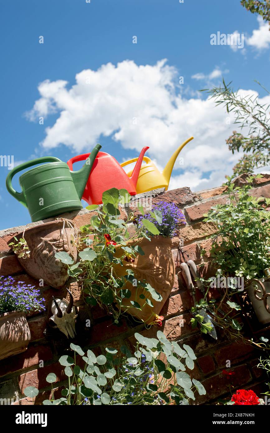 Gießkannen auf der Backsteinmauer im rustikalen Garten Stockfoto