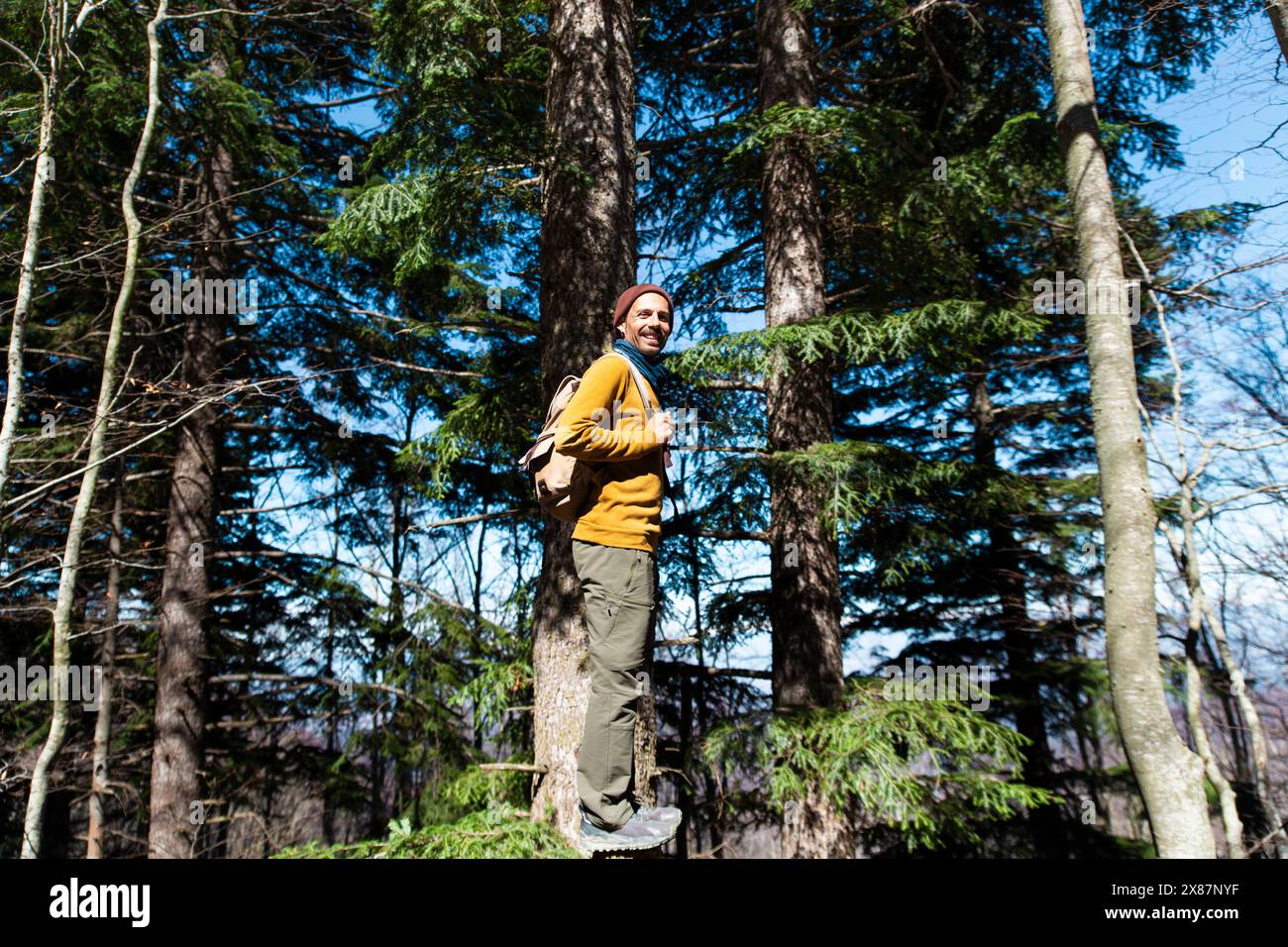 Lächelnder Entdecker, der auf einem Baumstumpf im Wald steht Stockfoto
