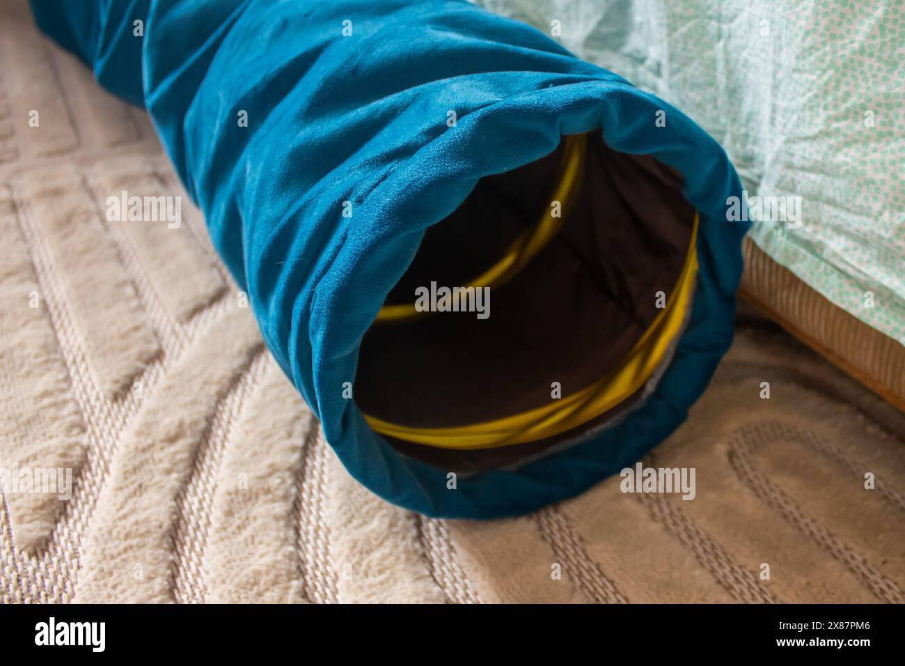 Blauer Katzentunnel auf Teppich, Nahaufnahme Stockfoto