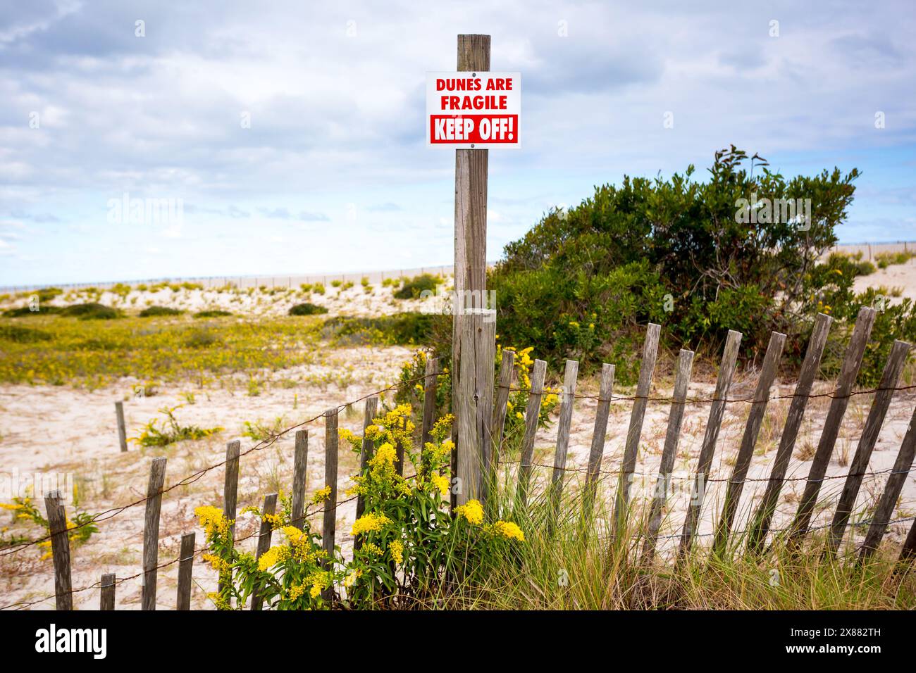 Ein Keep-Off-Schild und ein Zaun auf empfindlichen Sanddünen mit Goldenrod-Blüten in Assateague Island National Seashore, Maryland Stockfoto