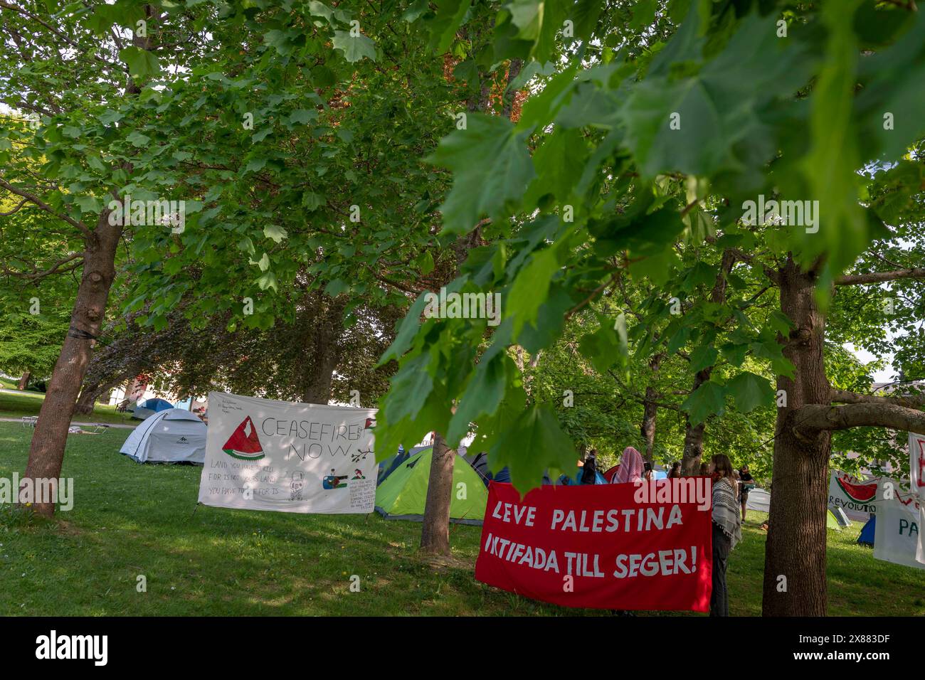 Stockholm, Schweden. Mai 2024. Pro-palästinensische Demonstranten haben ein Lager vor der Universität Stockholm in einer mächtigen Demonstration aufgebaut. Die Aktionen folgen den massiven Studentenprotesten, die die amerikanischen Universitäten in den letzten Wochen erschüttert haben. Studenten und Aktivisten haben sich versammelt, um ihre Unterstützung für Palästina zu zeigen und das Bewusstsein für den Nahostkonflikt zu schärfen, wodurch eine bedeutende Präsenz und Diskussion auf den Campus geschaffen wurde. (Kreditbild: © Joel Lindhe/ZUMA Press Wire) NUR REDAKTIONELLE VERWENDUNG! Nicht für kommerzielle ZWECKE! Stockfoto