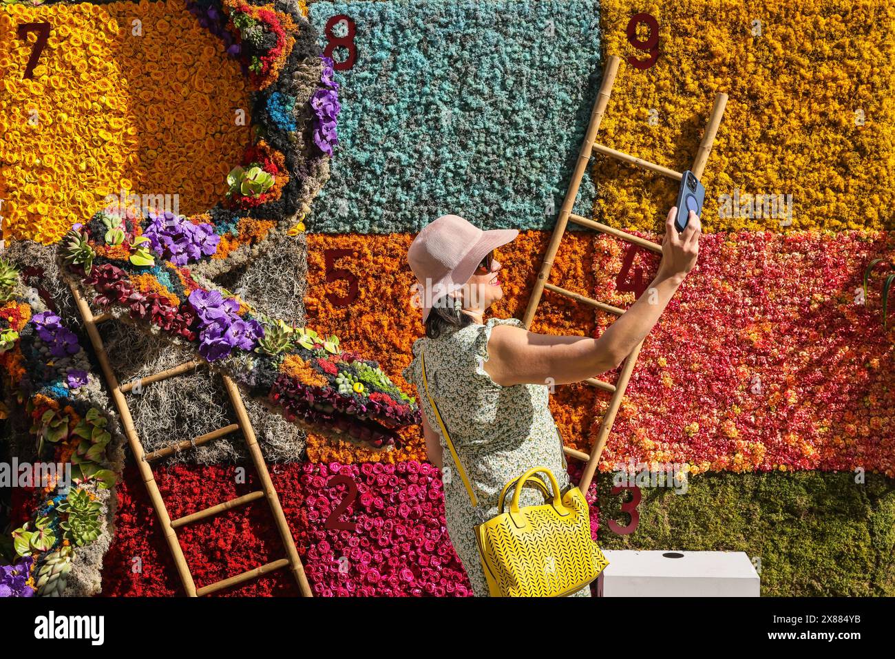 London, Großbritannien. Mai 2024. Besucher posieren und fotografieren mit dem „Botanischen Brettspiel“ von Neill Strain Floral Couture in der Motcomb Street. Das Belgravia in Bloom Festival kehrt zum neunten Jahr mit dem Thema „Floral Fun and Games“ zurück. Geschäfte und Unternehmen bieten jedes Jahr farbenfrohe Pflanzen- und Blumenpräsentationen für dieses lebhafte Festival. Quelle: Imageplotter/Alamy Live News Stockfoto