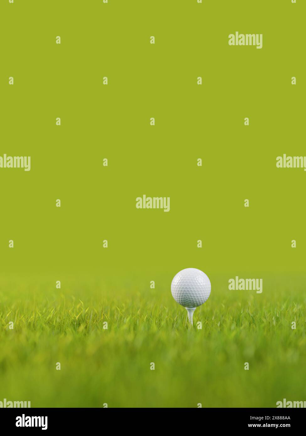 Ein Golfball auf einem Golfabschlag auf einem Rasen. Selektiver Fokus – sehr geringe Schärfentiefe. Grüner Hintergrund. Stockfoto