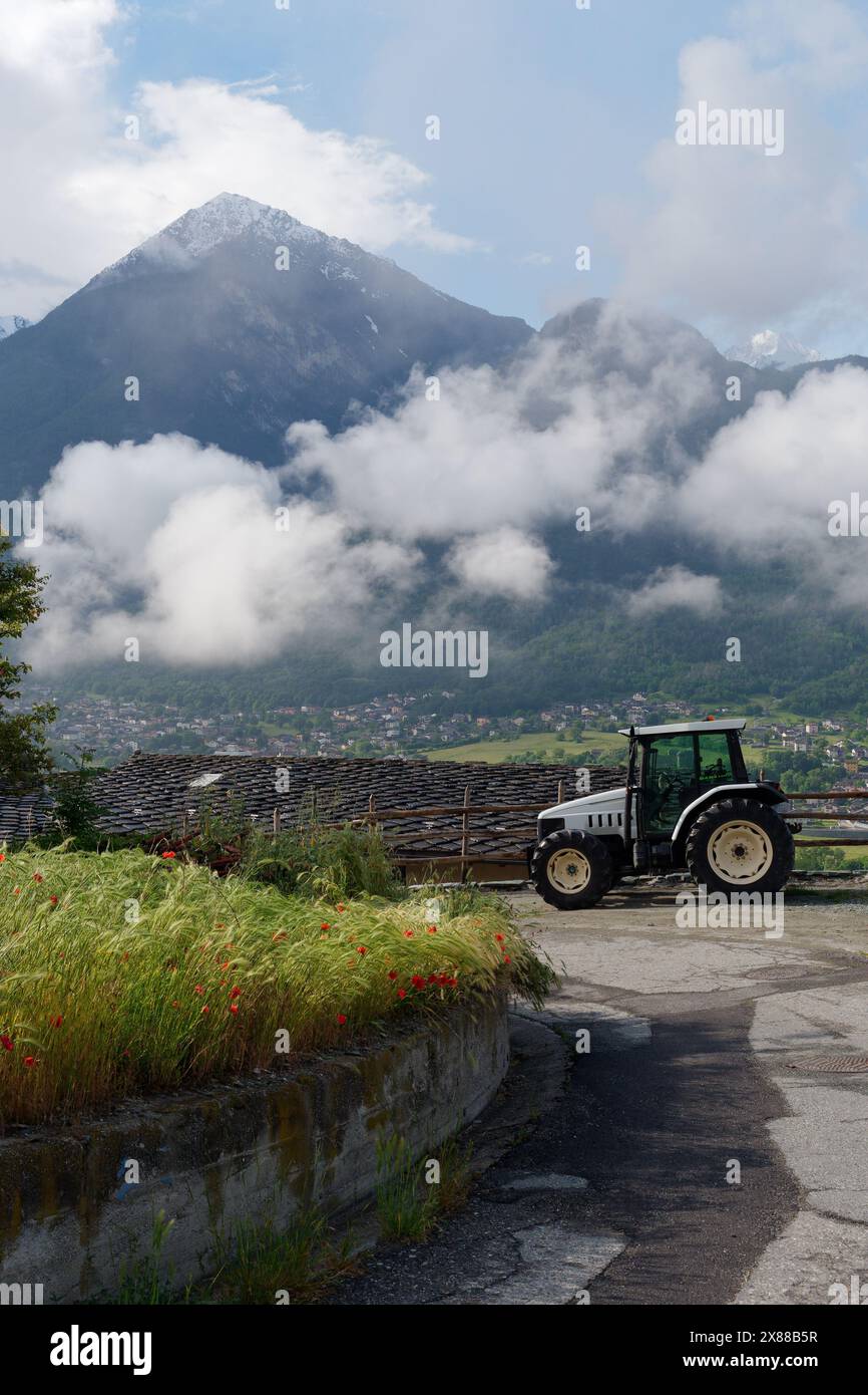 Traktor auf einer Straße im Aostatal Nr NUS mit niedrigen Wolken und Bergen dahinter und langem Gras mit Mohnblumen im Vordergrund. Italien, 23. Mai 2024 Stockfoto