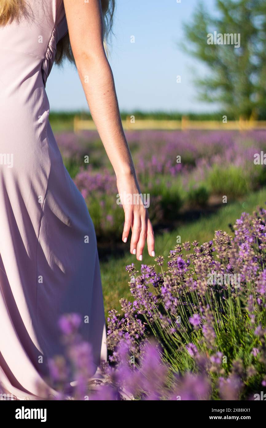 Die Hand einer Frau, die auf einem blühenden Lavendelfeld im lavendelfarbenen Kleid läuft Stockfoto