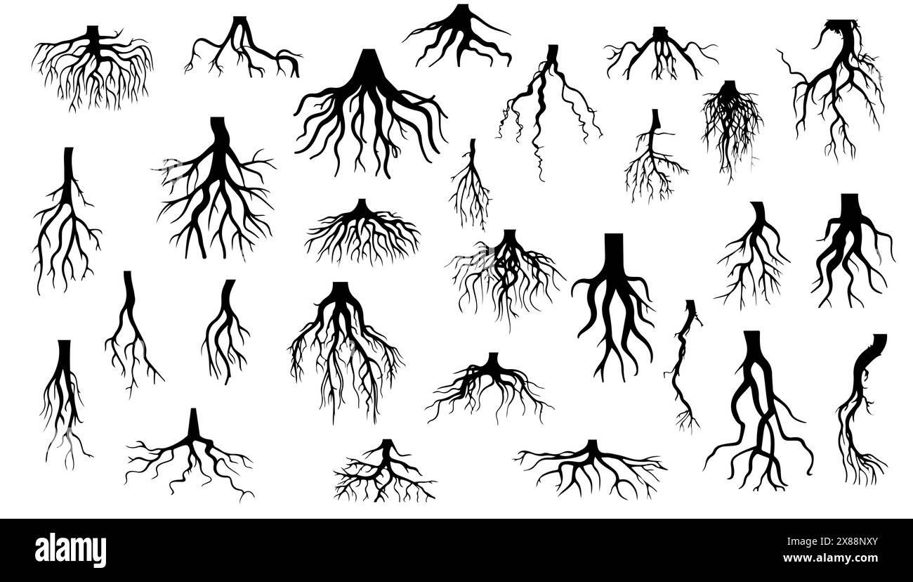 Baumwurzelsilhouette isoliert auf weiß. Vektor-Illustration Pflanzenwald Design und Umweltökologie. Zweigkunstbaum- und Gartenform Stangendrawin Stock Vektor