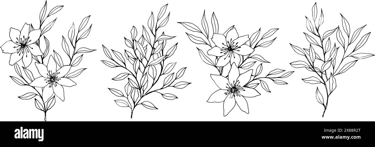 Vektorkonturverzweigung und Leaves-Zusammensetzungen. Elegante Äste zur Dekoration. Handgezeichnete monochrome botanische Illustration für Hintergründe Stock Vektor