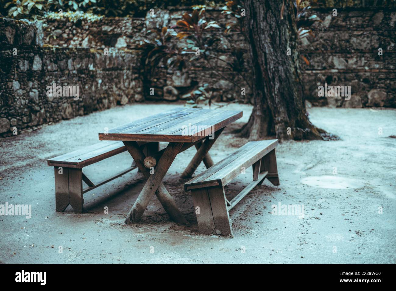 Ein einladender Picknicktisch aus Holz, eingebettet unter einem Schatten eines Baumes in einem ruhigen botanischen Garten, bietet einen ruhigen Rückzugsort in der Natur Stockfoto