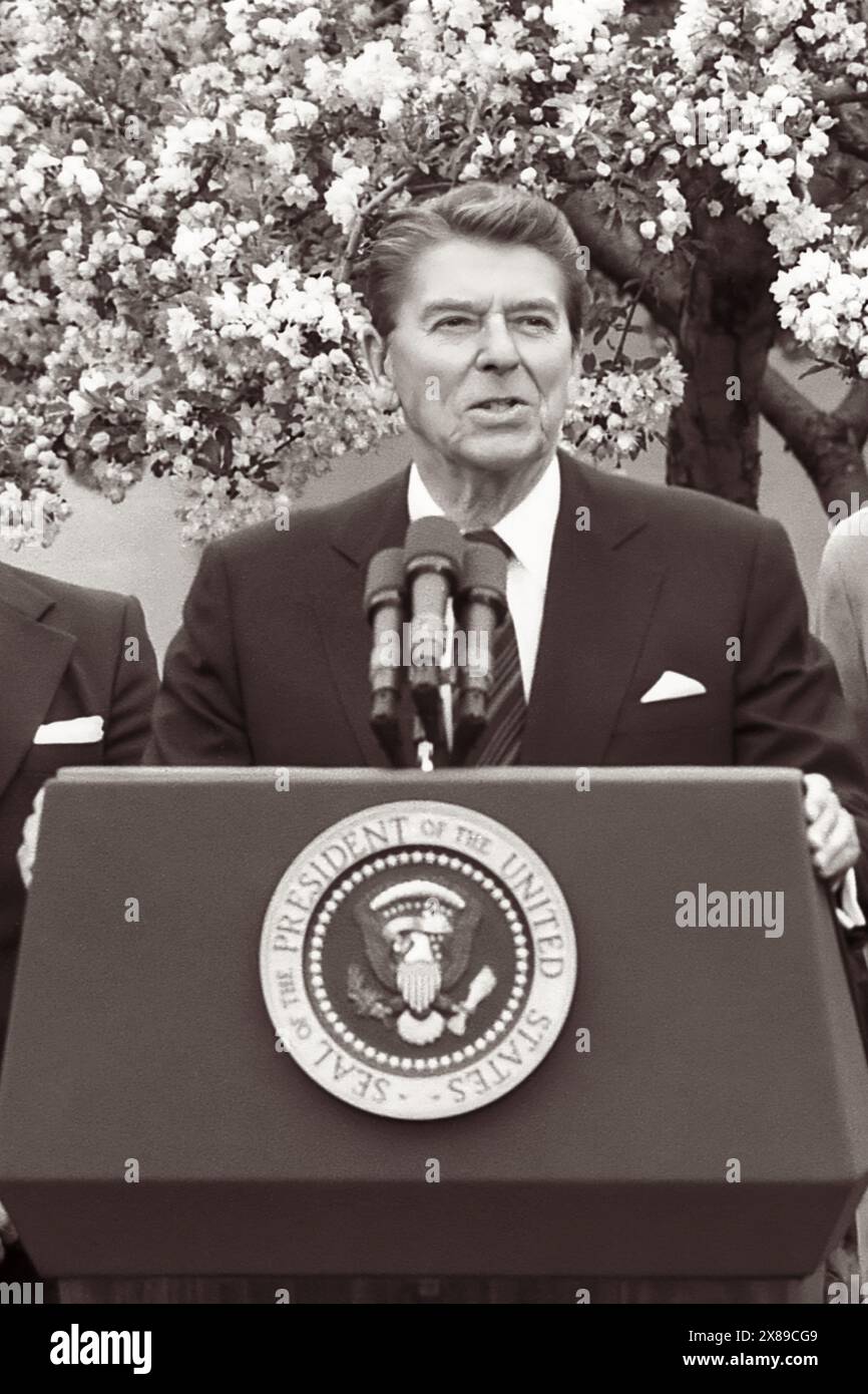 US-Präsident Ronald Reagan (1911–2004), der am 14. April 1983 aus dem Rose Garden des Weißen Hauses in Washington, D.C. ein Stipendienprogramm für Studenten der Karibik ankündigte. (USA). Stockfoto