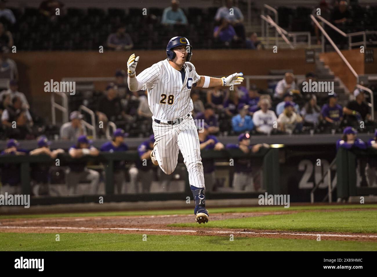 California Bears erster Baseman Peyton Schulze (28) schockiert über einen Foul-Anruf im dritten Inning eines NCAA-Baseballspiels gegen die Washington Huskies Stockfoto