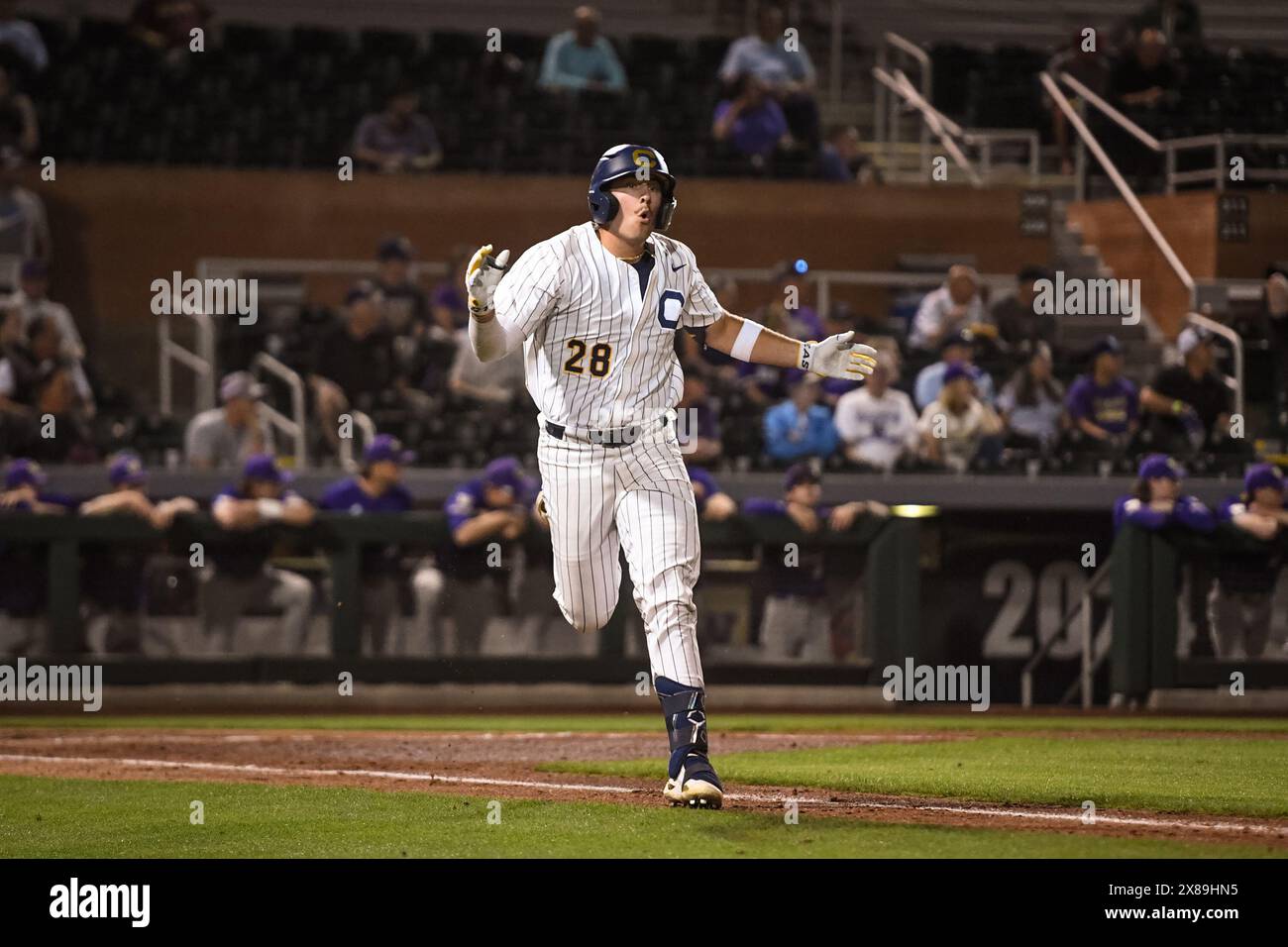 California Bears erster Baseman Peyton Schulze (28) schockiert über einen Foul-Anruf im dritten Inning eines NCAA-Baseballspiels gegen die Washington Huskies Stockfoto