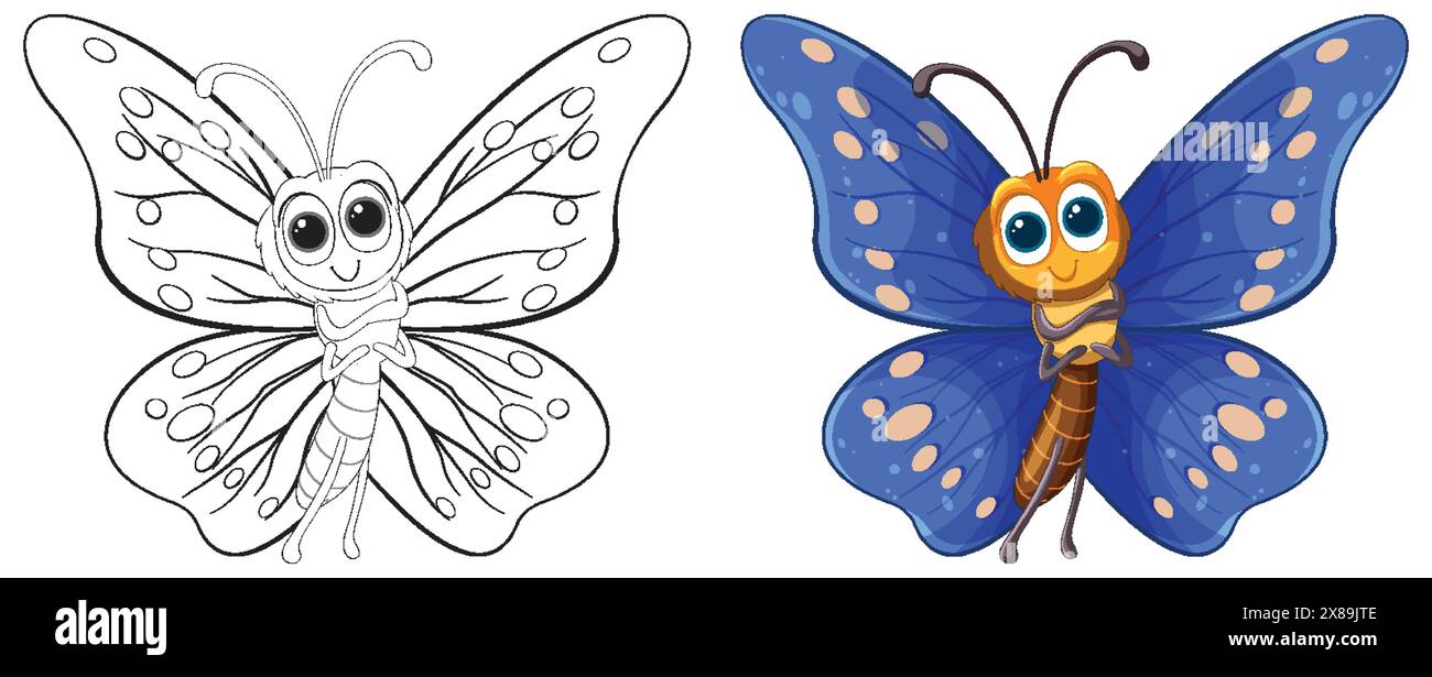 Zwei Stufen von Schmetterling, Skizze und Farbe Stock Vektor
