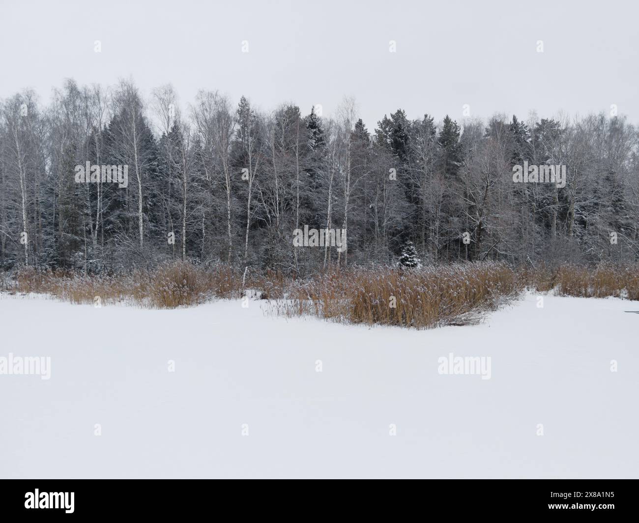 Wunderschöne Winterlandschaft mit viel Schnee Stockfoto
