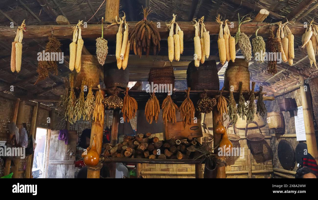 Maiskolben hängen in der Hütte, Hornbill Festival, Kisama Heritage Village, Nagaland, Indien Stockfoto