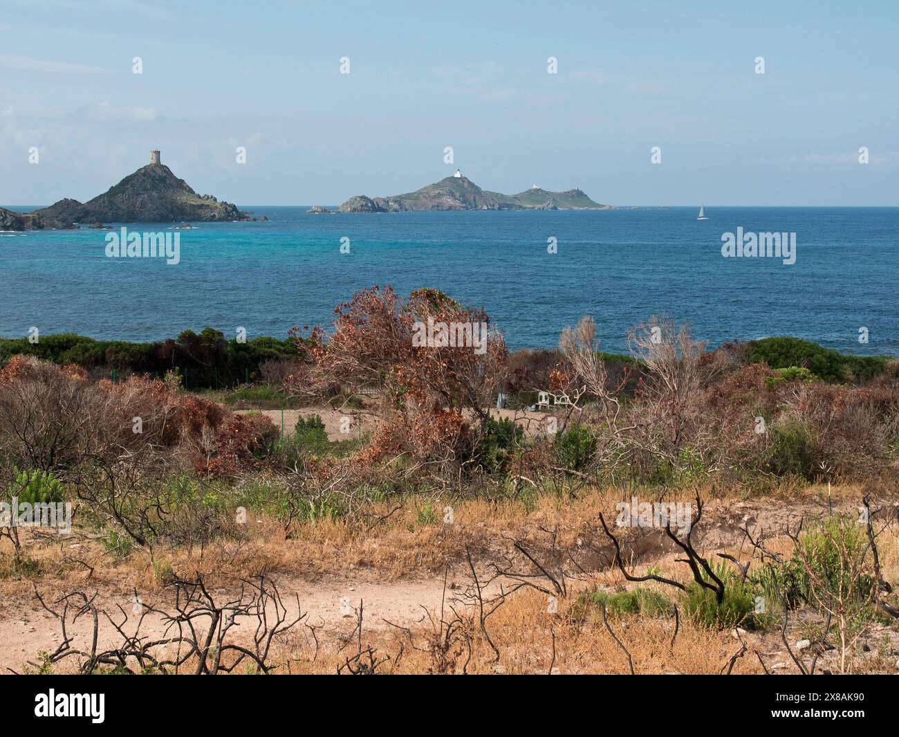 Blick auf das Meer und kleine Inseln von einer trockenen, hügeligen Küste, grüne, felsige Küste mit vorgelagerten felsigen Inseln am Mittelmeer, Wandern am blauen Meer Stockfoto