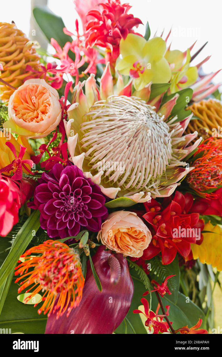 Tropische farbenfrohe Blumendekoration mit Protea, Orchideen und mehr Stockfoto
