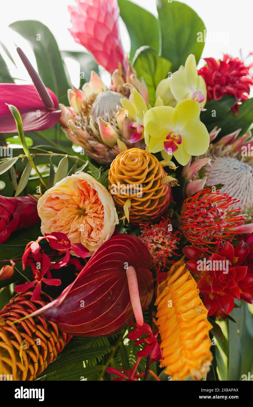 Tropische farbenfrohe Blumendekoration mit Protea, Orchideen und mehr Stockfoto