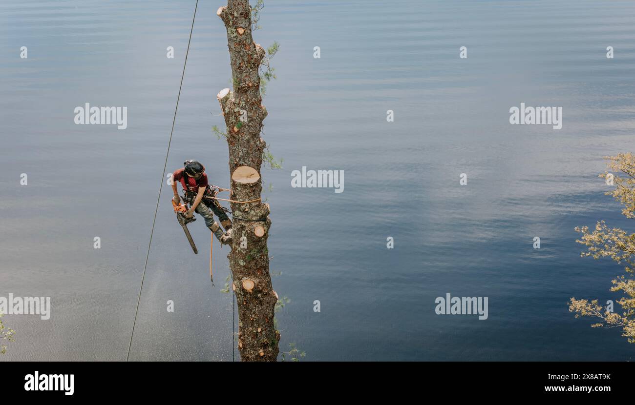 Holzkohle mit Kettensäge, die am Baumstamm über Wasser hängt Stockfoto