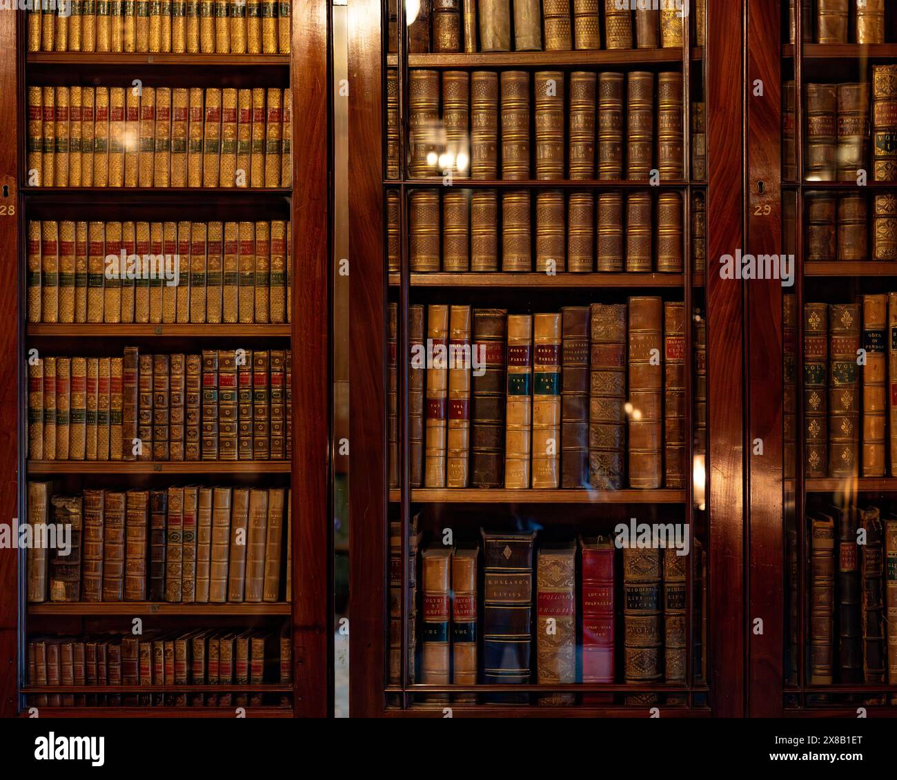 Alte Bücher in Büchern Stockfoto