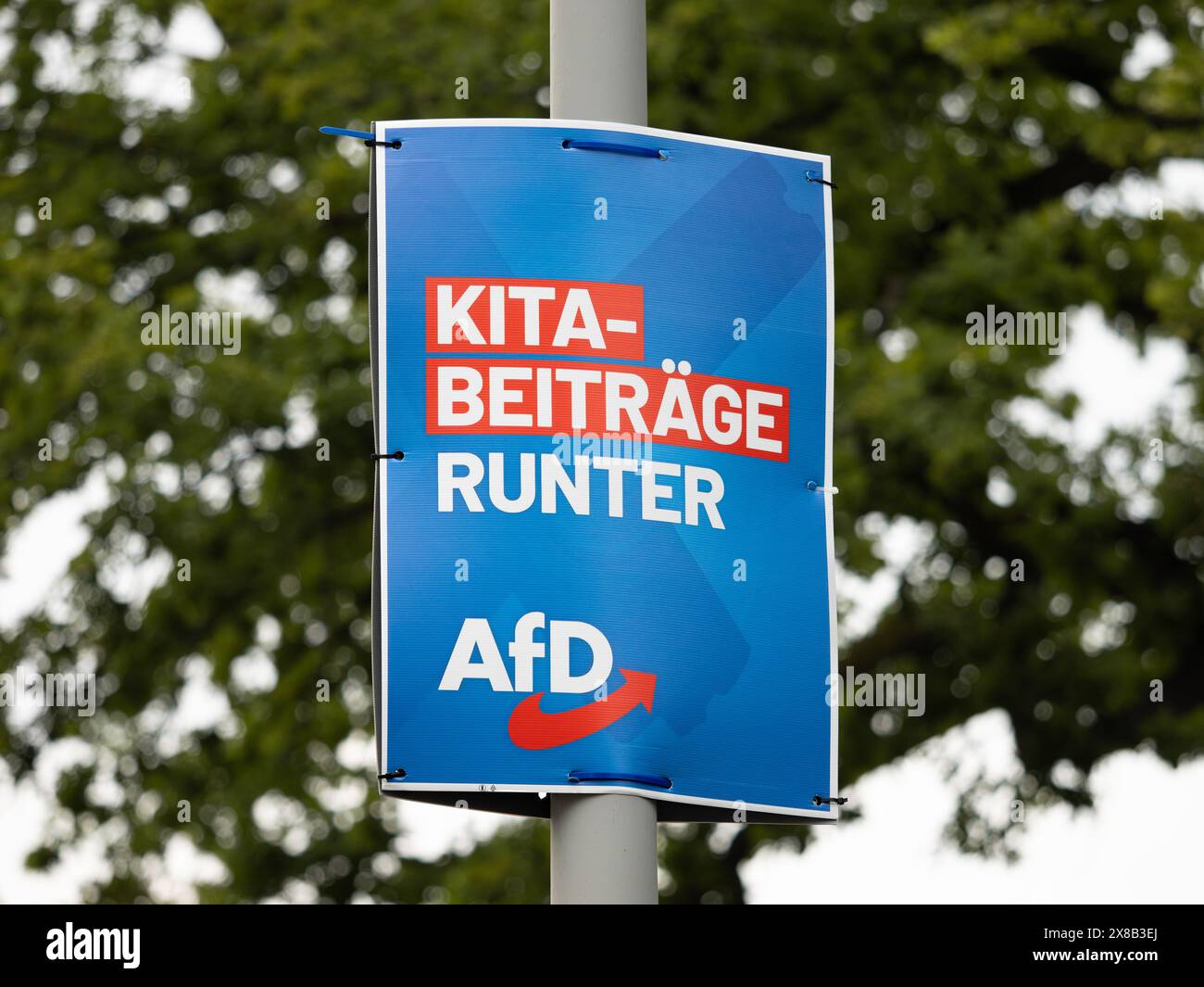 AFD-Wahlkampfplakat mit dem Slogan „Kita-Beiträge runter“. Die rechtsextreme Partei will Familien gewinnen. Stockfoto
