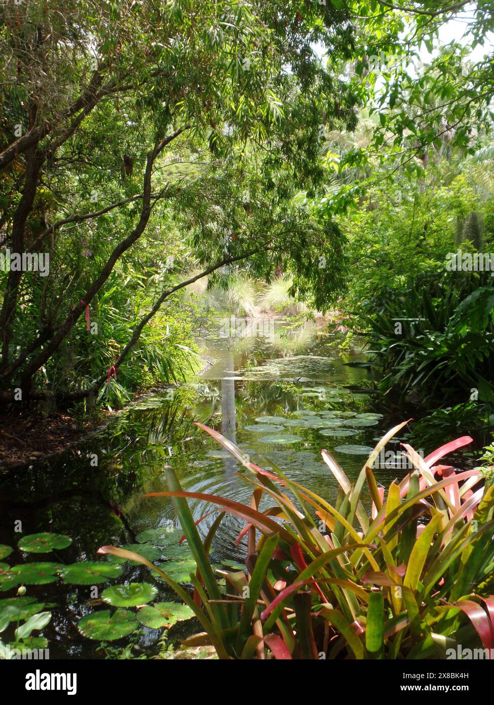 Ein Teich in McKee Gardens Stockfoto