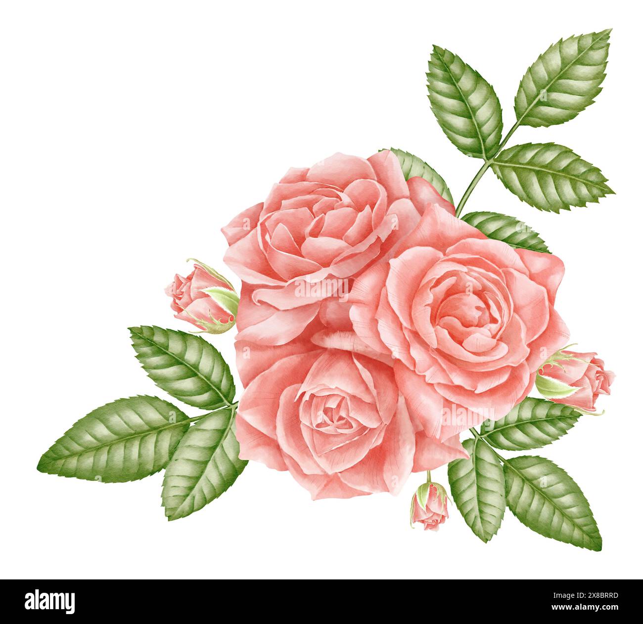 Aquarell rosafarbene Blüten mit grünen Blättern. Blumenillustration mit rosafarbenen Pflanzen für Grußkarten oder Hochzeitseinladungen. Botanische Komposition mit blühenden Kräutern für Vintage-Arrangements. Stockfoto