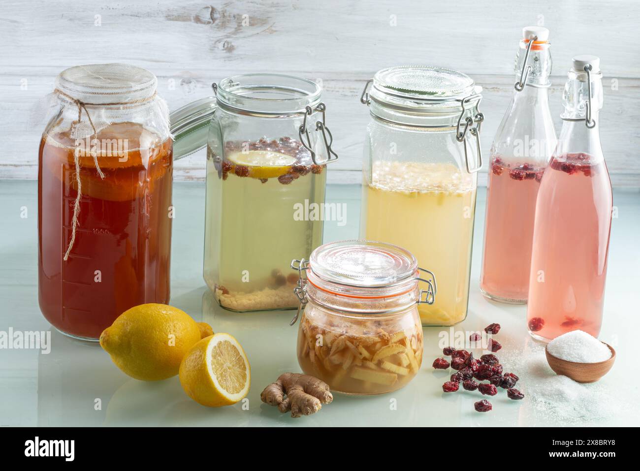 Kobucha, Wasserkefir, Ingwerwanze und Ingwerbier - probiotische Getränke, die durch Fermentation hergestellt werden Stockfoto