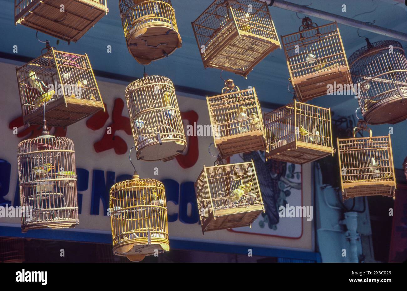 Singapur, ein Ladenbesitzer hat Singvögel vor seinem Laden gehängt. Stockfoto