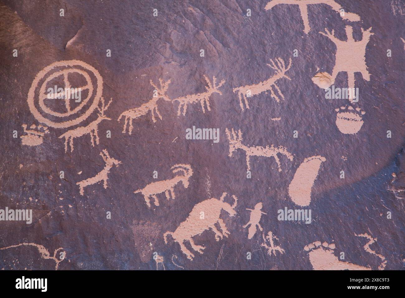 Newspaper Rock Petroglyphs, in den Felsen geätzt von ca. 700 v. Chr. bis 1300 n. Chr., südlich von Moab, Utah, USA Stockfoto