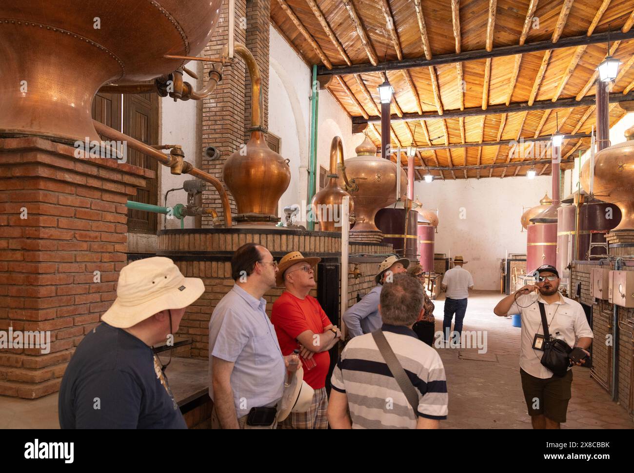 Mexiko-Reise; Touristen auf einer Führung durch den Weinberg Casda Madero, das älteste Weingut Amerikas aus dem 16. Jahrhundert, Coahuila, Mexiko. Mexikanischer Wein. Stockfoto
