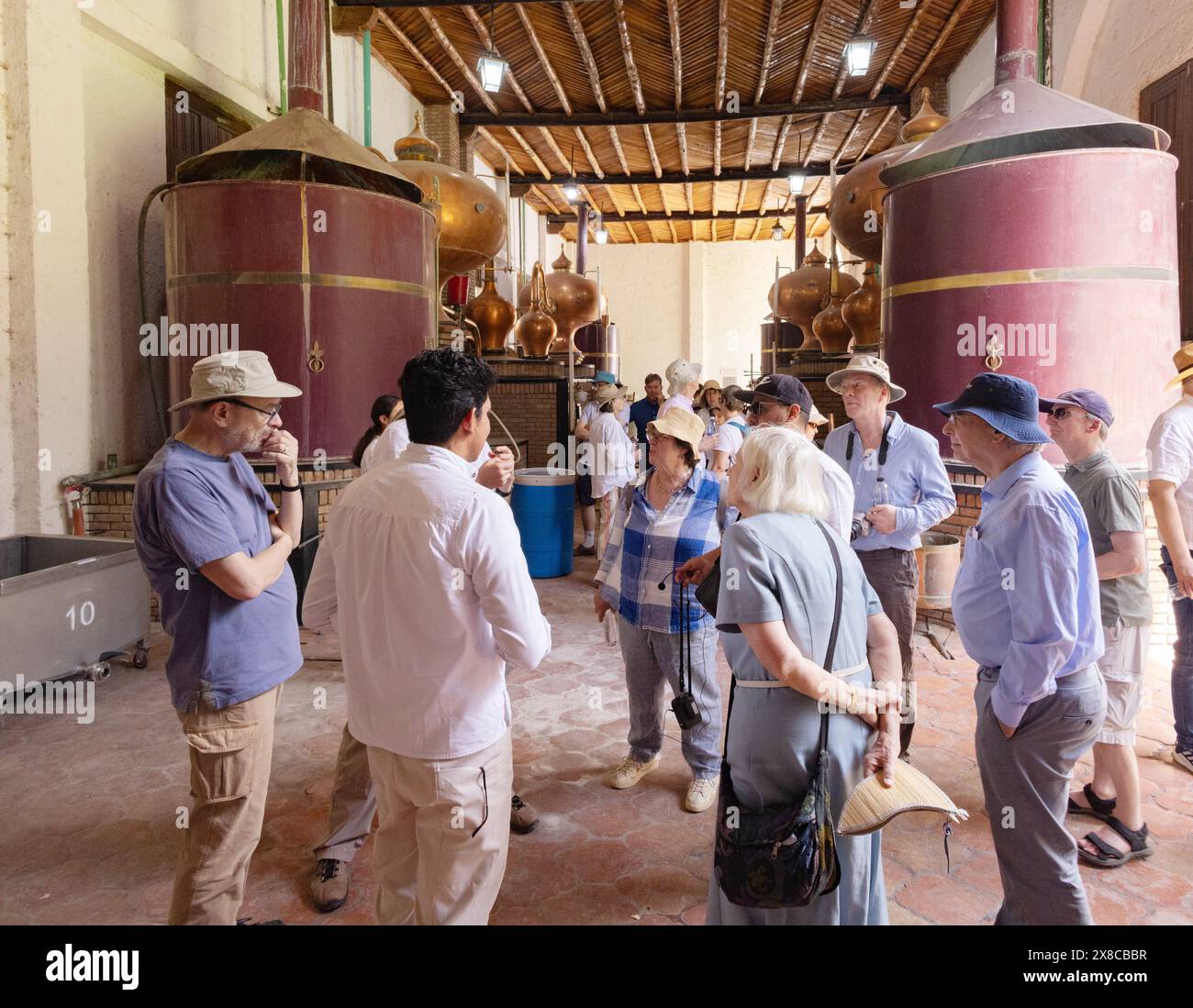 Tourismus in Mexiko; Teilnehmer an einer Führung durch den Weinberg Casda Madero, das älteste Weingut Amerikas aus dem 16. Jahrhundert, Coahuila, Mexiko. Mexikanischer Wein. Stockfoto