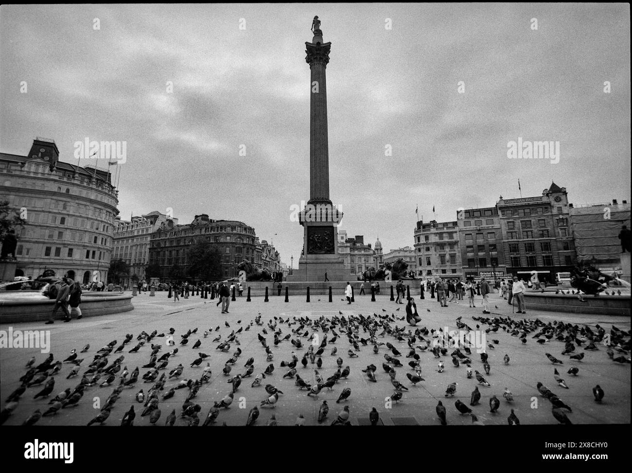 Trafalgar Square London Fütterung Tauben 1993 Scan 2024 Fütterung Tauben ist jetzt verboten. Stockfoto